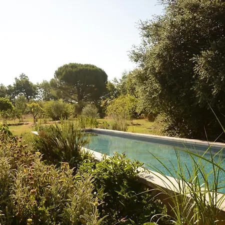L'onagre Du Chant Du Buc, De Standing, Piscine D'exception, Vaste Jardin Apartament Marssac-sur-Tarn