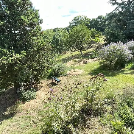 Apartament L'onagre Du Chant Du Buc, De Standing, Piscine D'exception, Vaste Jardin Marssac-sur-Tarn