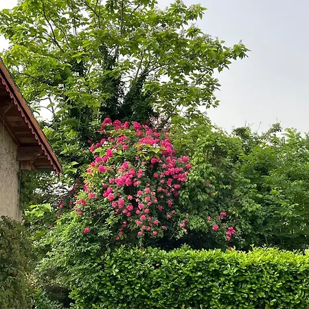 Apartament L'onagre Du Chant Du Buc, De Standing, Piscine D'exception, Vaste Jardin *