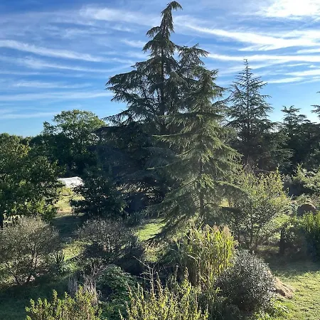 L'onagre Du Chant Du Buc, De Standing, Piscine D'exception, Vaste Jardin Marssac-sur-Tarn