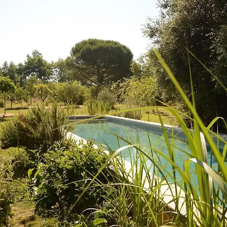 L'onagre Du Chant Du Buc, De Standing, Piscine D'exception, Vaste Jardin Apartament *