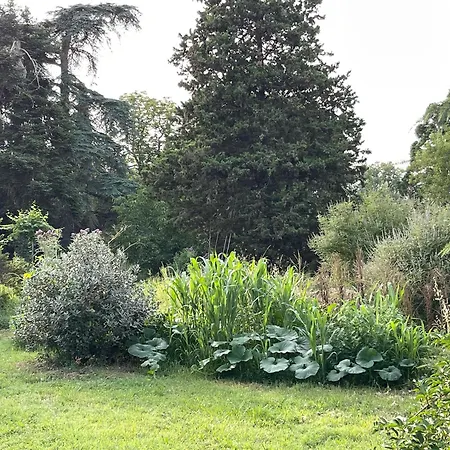 L'onagre Du Chant Du Buc, De Standing, Piscine D'exception, Vaste Jardin Appartamento *